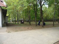 /album/a3-nap/p1200446-jpg/